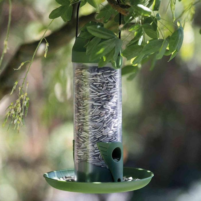 Wild Bird Seed Feeder With Plate 22cm Plastic
