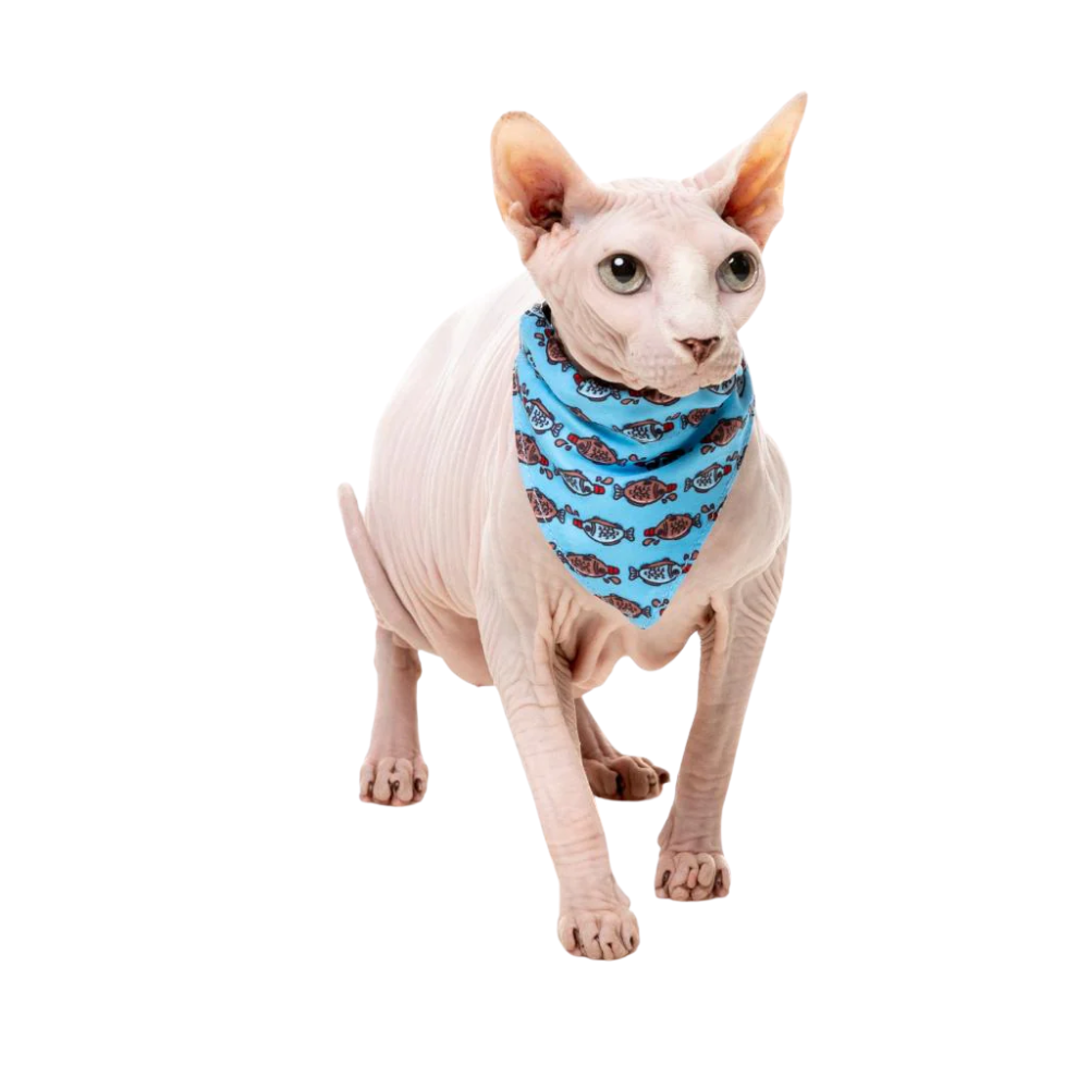 Fuzzyard Cat Fashion Pack Fish Collar Bow Tie Bandana Bell