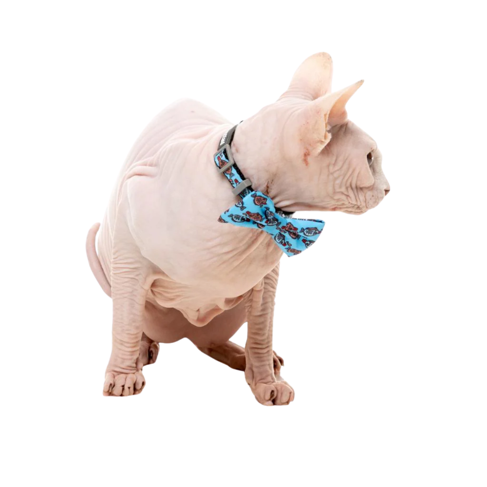 Fuzzyard Cat Fashion Pack Fish Collar Bow Tie Bandana Bell
