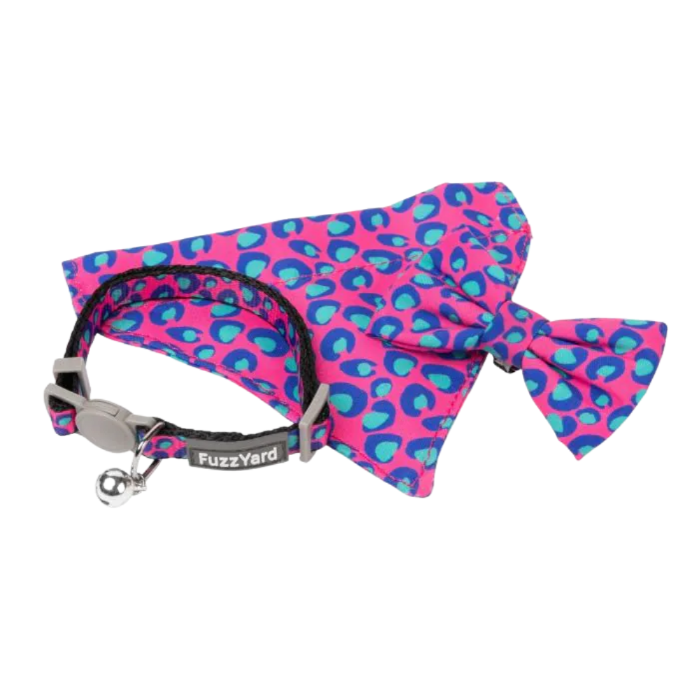 Cat Collars & Leads