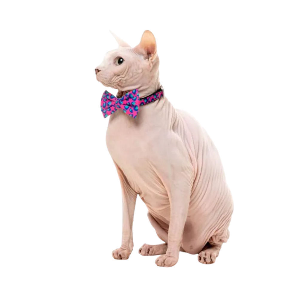 FuzzYard Cat Fashion Collar and Bandana Set Bubblegum
