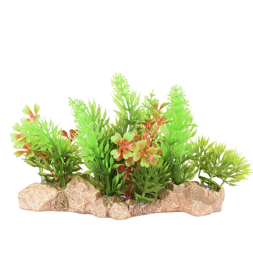 Flamingo Umbra Aquarium Plant 15cm L x 7cm W x 10cm H