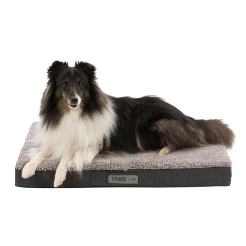 Bendson Orthopaedic Dog Cushion Grey Memory Foam