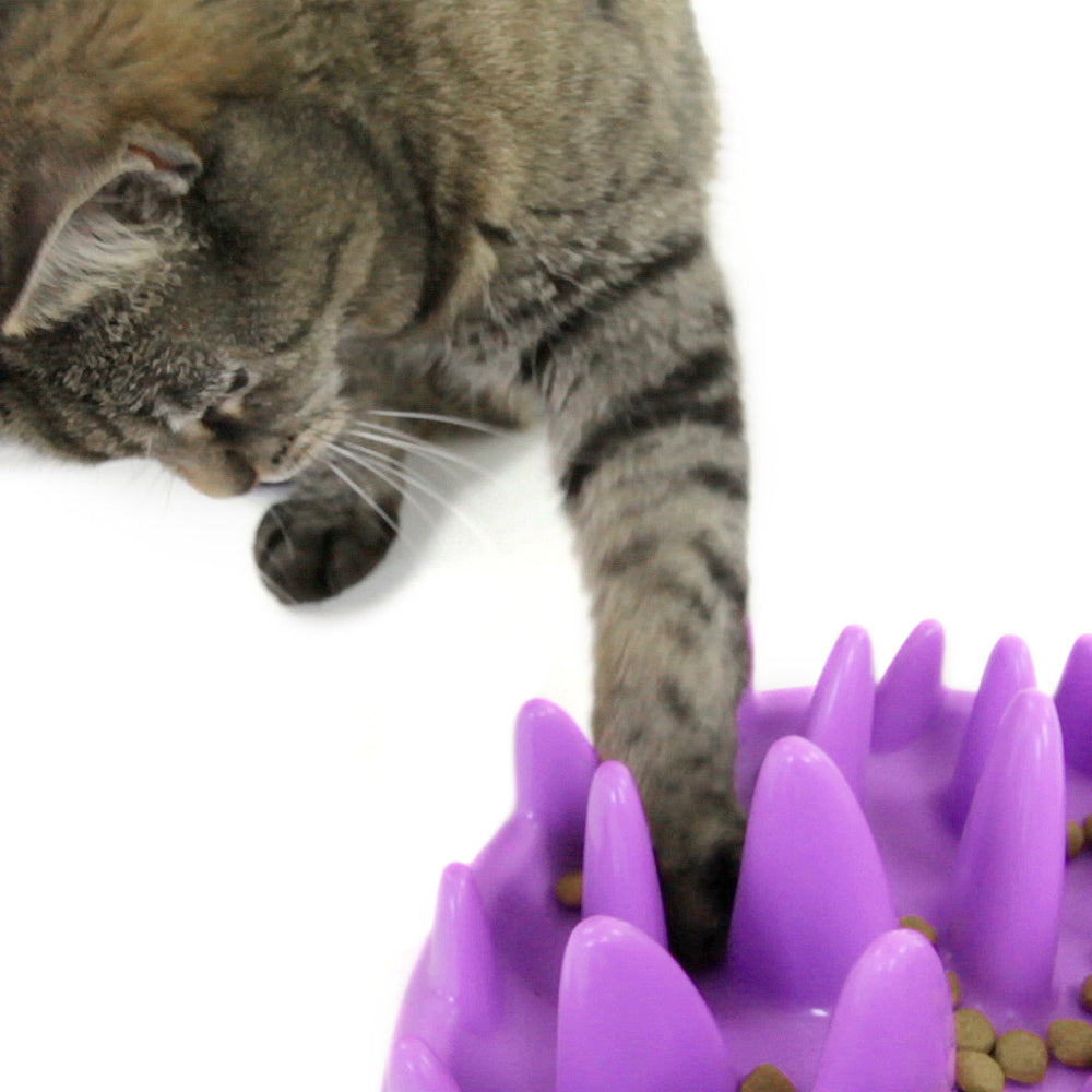 Flamingo Slow Cat Feeder Bowl For Slow Eating