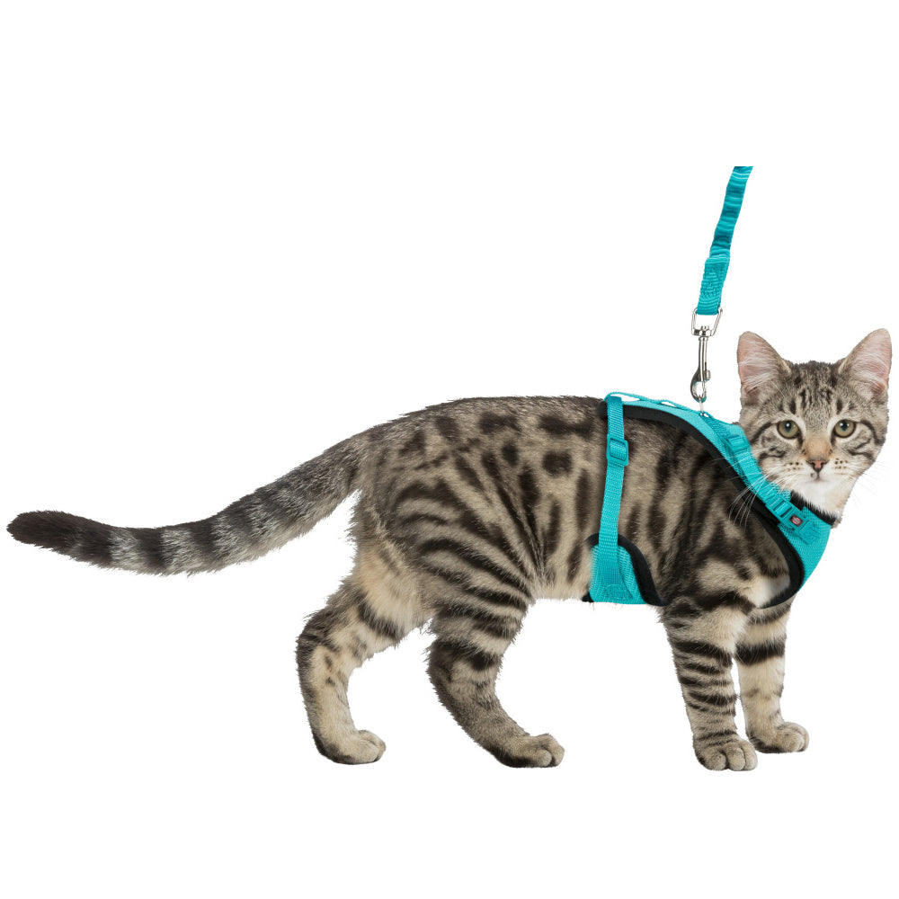 Cat Mesh Y Harness With Lead 22 To 42 Cm