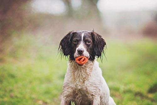 Chuckit Breath Right Ball Dog Toy Orange TPR