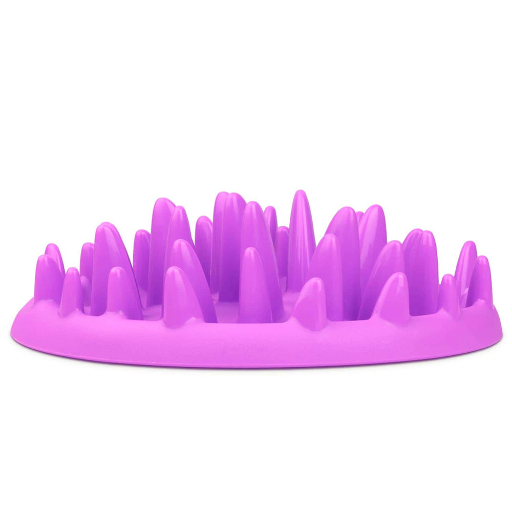 Cat Bowls & Feeding