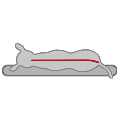 Bendson Orthopaedic Cushion Oval Grey Memory Foam