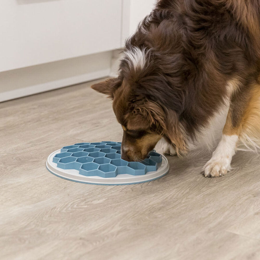 Hive Slow Feeding Plate 30cm Non Slip Blue Grey